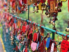 -西双版纳原始森林公园