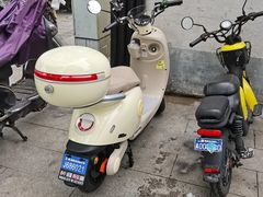 -绿源电动车(普陀专卖店)