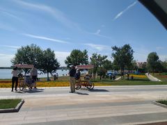 -武清南湖绿博园