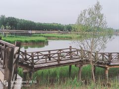 -野鸭湖国家湿地公园