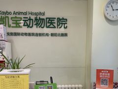 -悦宠凯宝动物医院·牙科·皮肤科(朝阳北路店)
