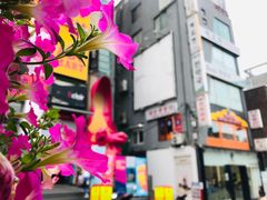 -梨大女人街