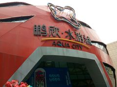 -鹏欣水游城