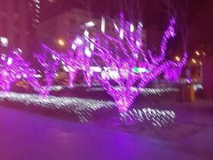 -远洋未来广场(育慧北路店)