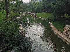 -北京国家会计学院