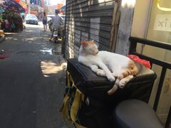 -桥东喜碧海鲜街(水东街店)