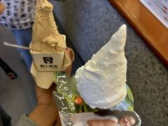 -野人先生Gelato(上海长宁龙之梦店)