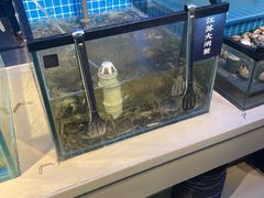 -海天盛宴潮汕蒸汽海鲜高端自助形象店