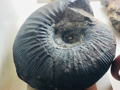 -吉祥圣雪藏餐