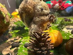 -初拾·花里餐厅(钜城华亿店)