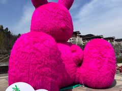 -国信南山温泉
