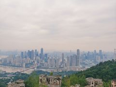 -南山植物园