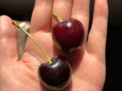 -红星农博物流中心