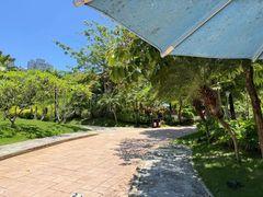 -三亚凤凰水城凯莱度假酒店