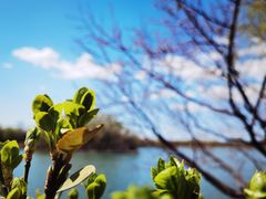 -大兴滨河森林公园