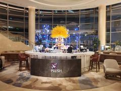 -Plush大堂酒廊(北京金融街威斯汀大酒店)