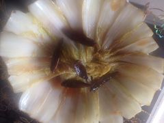 iphone_upload_pic-兰州老马食府(小潞邑店)