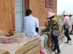 -北海金海湾红树林生态旅游区