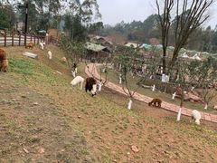 -黄龙溪欢乐田园