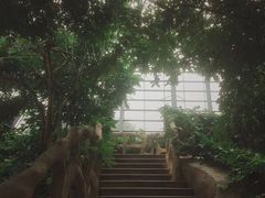 -南山植物园