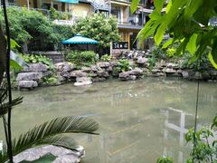 -山色西餐·柴火烤披萨