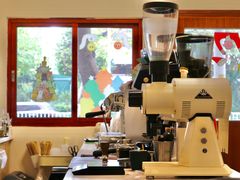 -SAFARI COFFEE