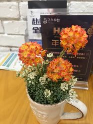 -子午孕教·孕妇瑜伽产后恢复(市北店)