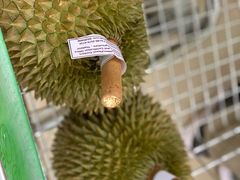-鲜力达果品批发直销(青山店)