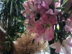 -春暖花开(西溪店)