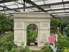 -南宫五洲植物乐园