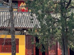 -西园戒幢律寺