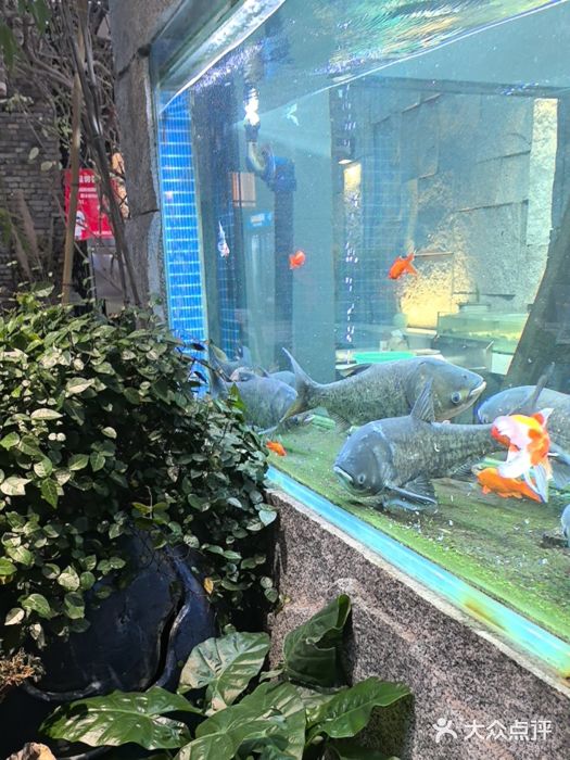 又见炊烟私房菜(敬亭路店)图片