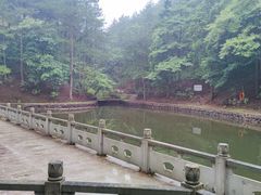 -四明山国家森林公园