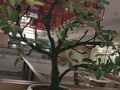 -海底捞火锅(高科广场店)