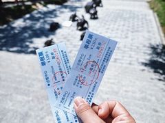 -广东惠东海龟国家级自然保护区