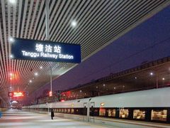 -塘沽站