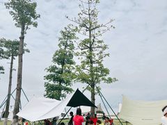 -芒洲湿地公园