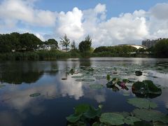 -新江湾城公园