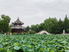 -莲池书院博物馆