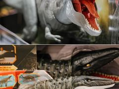 -TOYSRUS玩具反斗城(上海万象城店)