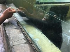-杭州野生动物世界