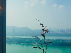 -长沙富力万达文华酒店