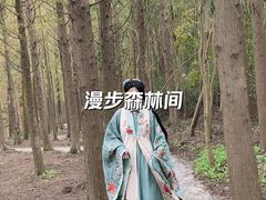 -上海海湾国家森林公园