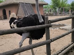 -祥源·阜阳生态乐园