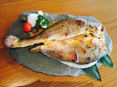 -Hatsune隐泉日式料理(三里屯太古里店)
