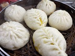 豆腐包-张包铺(道外店)