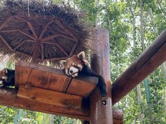 -北京野生动物园