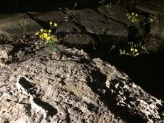 -皇城根遗址公园-东安门遗址