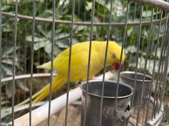 -南宫五洲植物乐园