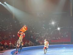 -珠海横琴长隆《卡卡虎奇遇记》